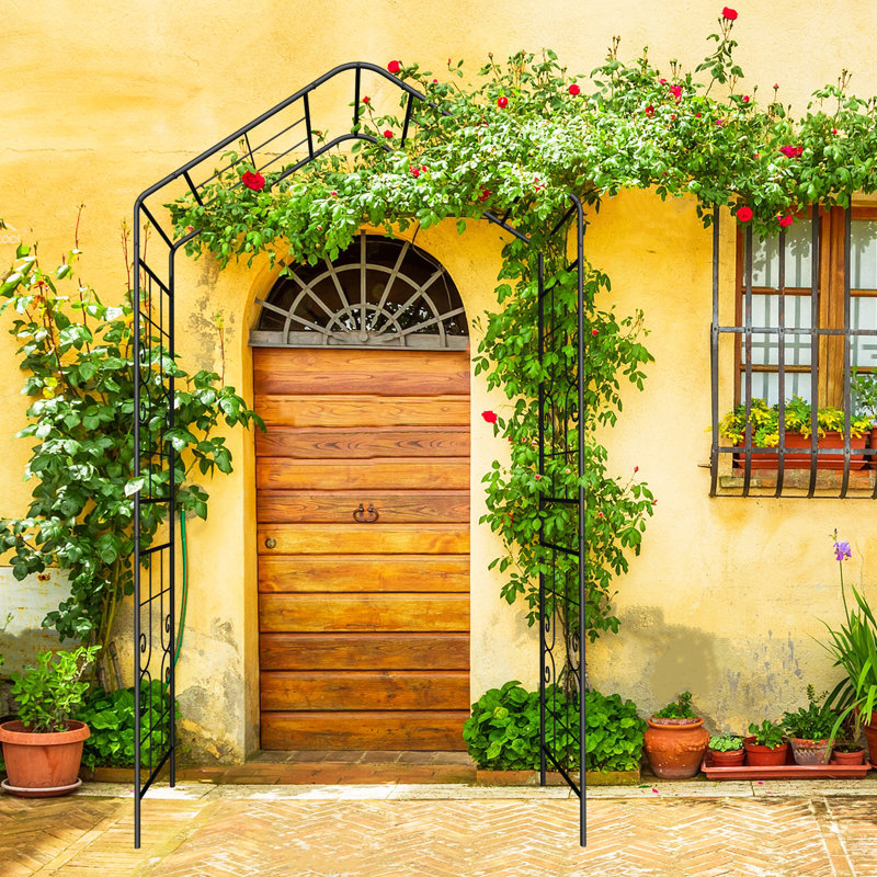 Les plantes grimpantes soutiennent l'arche