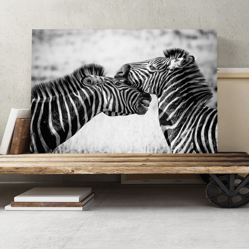 Zebra Wildlife - Wrapped Canvas, 50cm H x 76cm W
