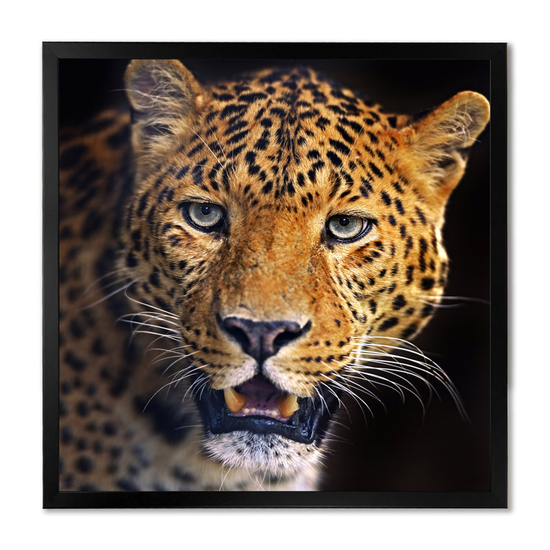 Portrait d'un léopard II - reproduction d'art sur toile traditionnelle, H 30 po x l 30 po, Cadre photo noir