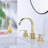 2-handle Bathroom Faucet with Drain Assembly-99313662