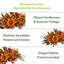 Arrangement floral tournesol