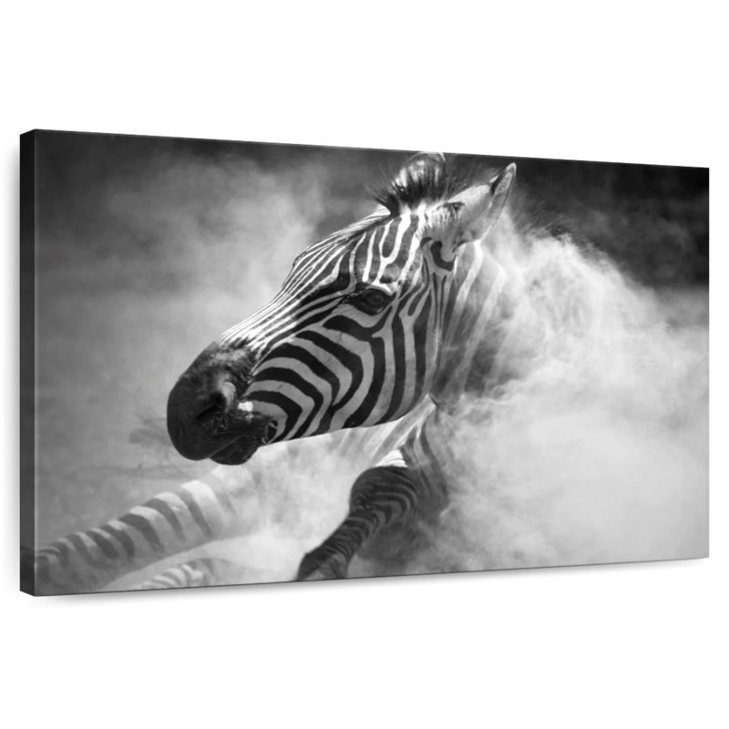 Brampt Dusty Zebra, 24" H x 36" W