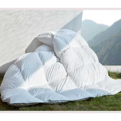 All Season Down Feather Comforter 100% Organic Cotton Fabric Duvet Insert