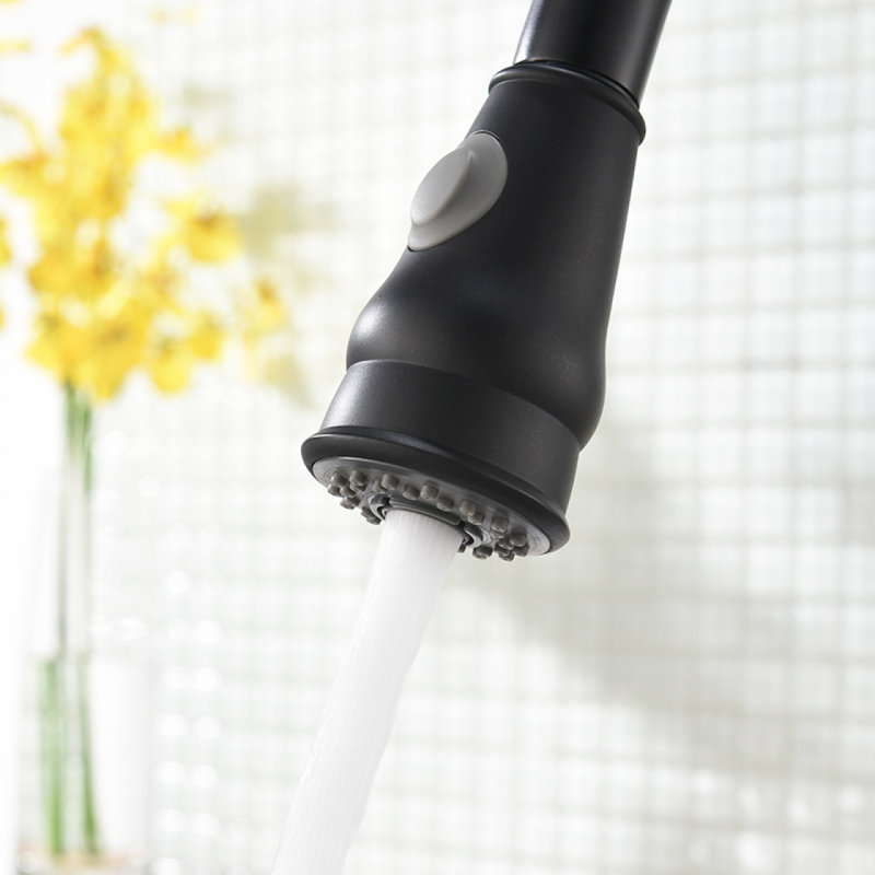 Commercia With Pull Out Sprayer, Single Handle Singlaucet