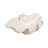 Bequette Resin Polyresin Coastal Decorative Clam Shell Bowl with Sculptural Wavy Rim - Elegant Modern Accent Bowl for Display or Storage - Stylish Textured Centerpiece for Home Decor-127047623