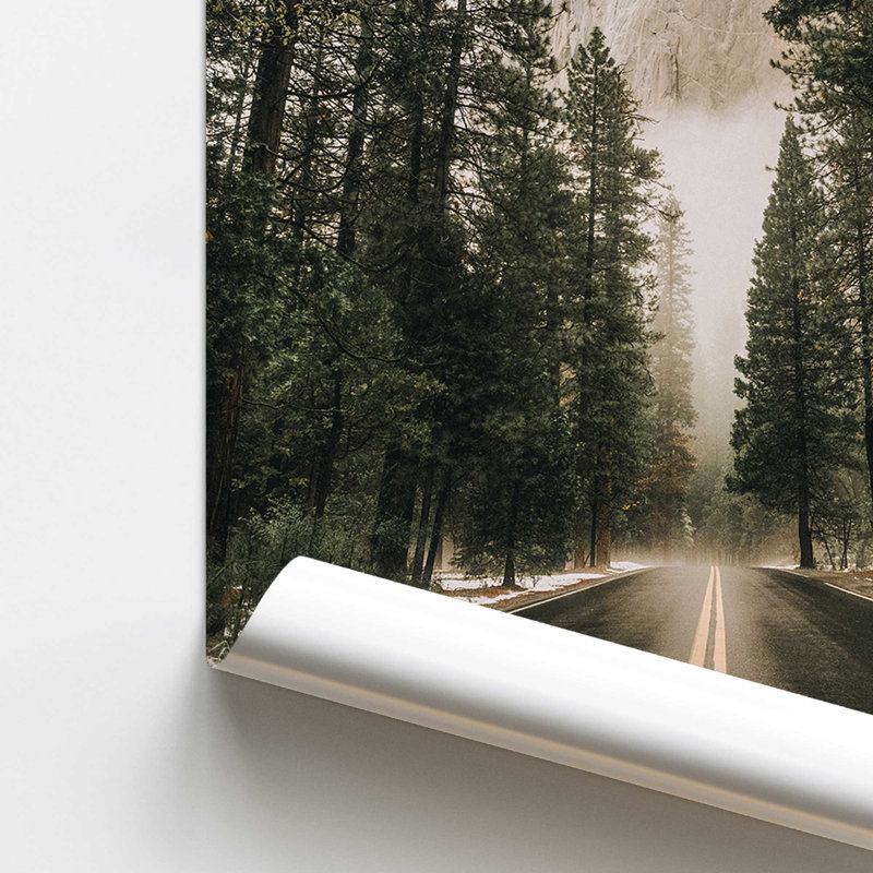 «Woodland Journey», dans un cadre,, Papier, H 10 po x l 8 po x P 0,1 po