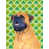 Mastiff (brun et noir) sélectionné