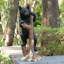 Climbing Black Bear Cub Statue