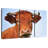 Young Bull-599262988