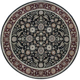 Wool Oriental Area Rug