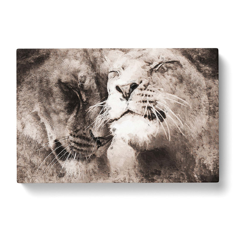 Pair Of Loving Lions - Wrapped Canvas, 35cm H x 50cm W x 3cm D
