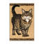  Tapis lavable chats chypriotes-108684564
