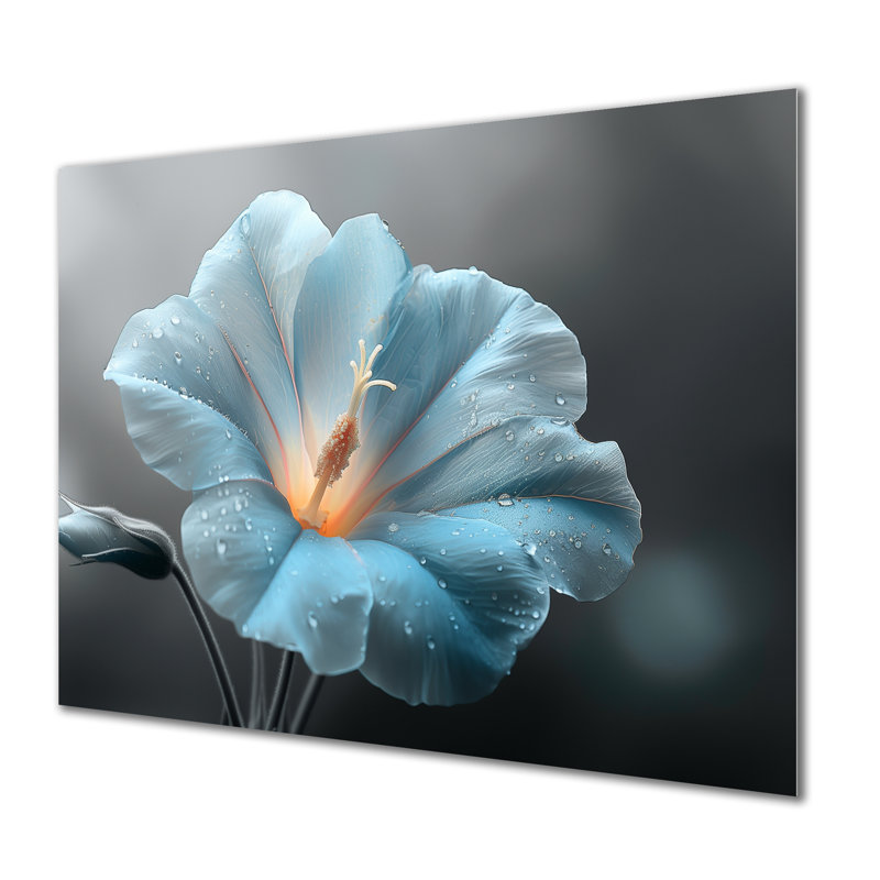 «Blue Crystal Morning Glory Flowers Photo I - Morning Glory», art mural, Sans cadre, métal, H 30 po x l 40 po