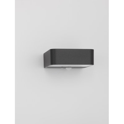 Black Integrated LED Outdoor Flush Mount