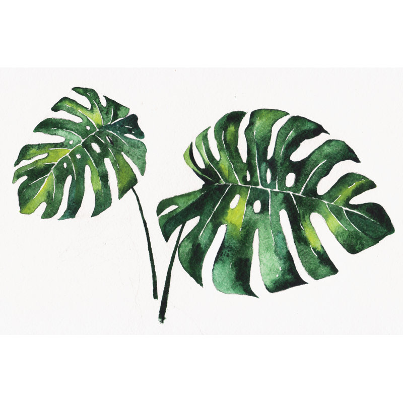 Floral Elements by Andrew Lee - Wrapped Canvas Print, 41cm H x 61cm W