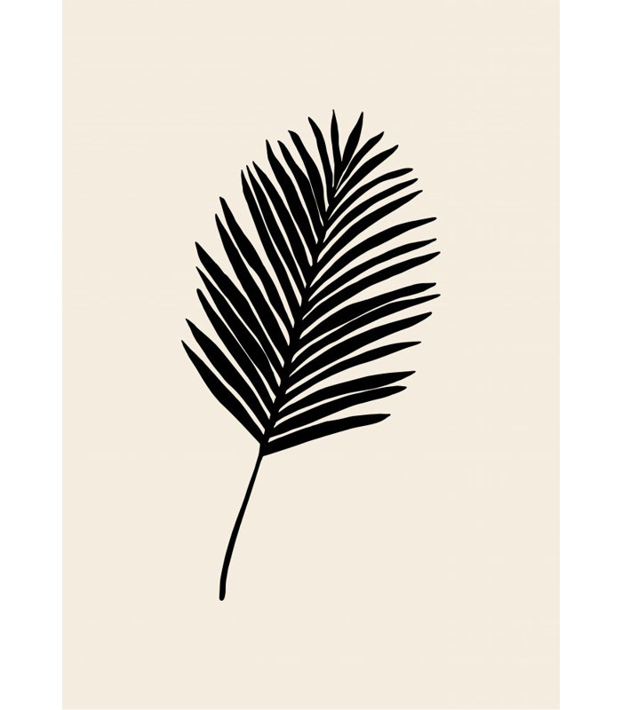 Palm Canvas Print, 81.28cm H x 121.92cm W