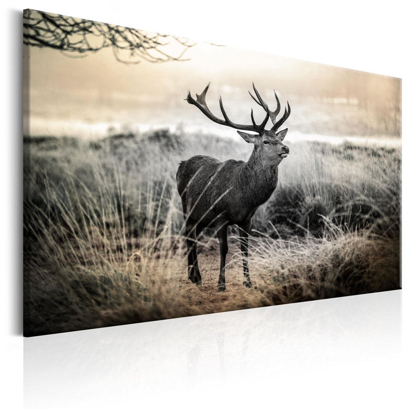 No Frame Print on Canvas, 60cm H x 90cm W