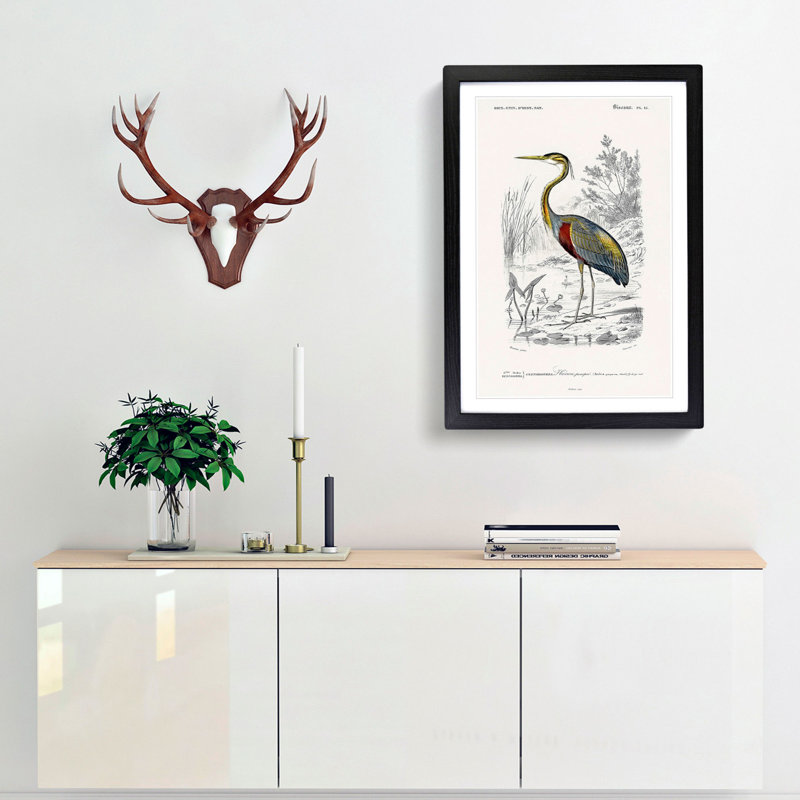 Heron by Charles D'Orbigny - Picture Frame Painting Print, 36cm H x 27cm W x 2cm D, Black Framed
