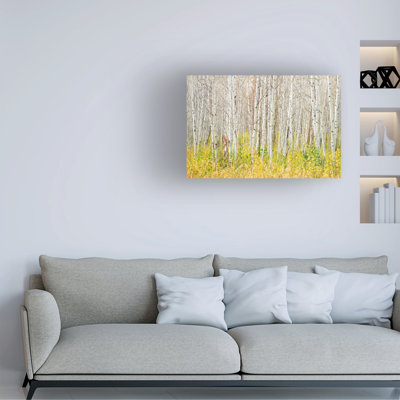 Art sur toile, écologiste bolologien, Bolologia