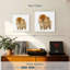 Spitz poméranien miniature Brampt-109232669