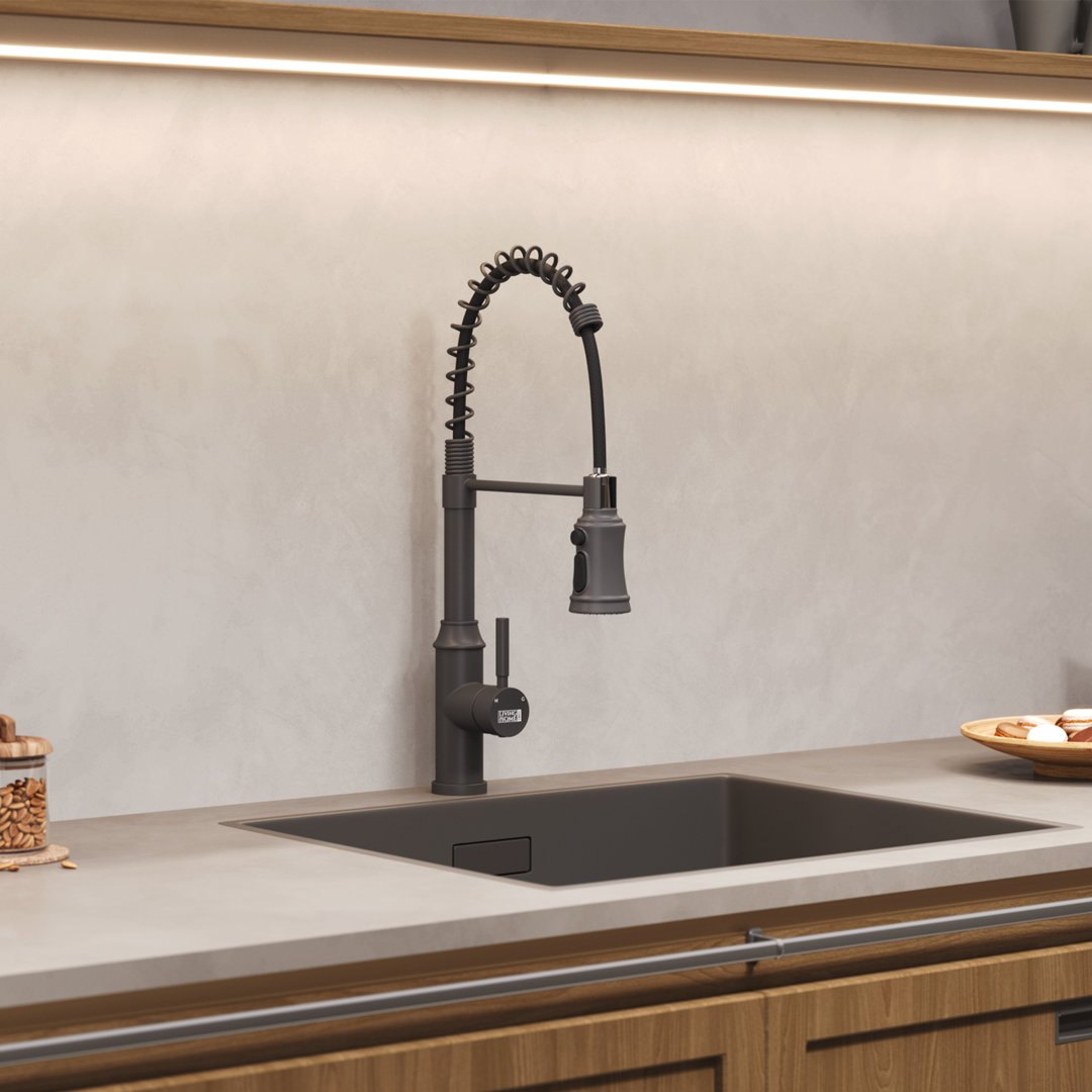 Belfry Kitchen Kitchen Faucet