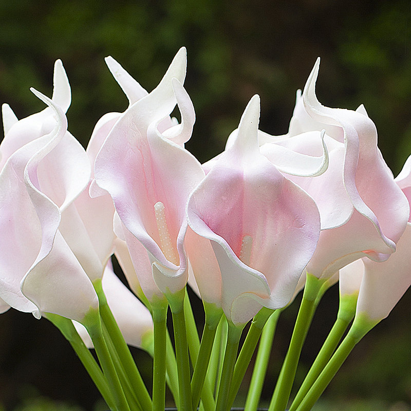 Lily Arrangement in Vase, Pink
