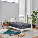 Sealy Albany 13" Soft Memory Foam Mattress