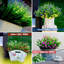 Fausse plante artificielle d'extérieur - 20 paquets artificiels