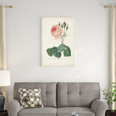 Roses rétro Redoute I