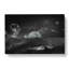 View of the Moon - Wrapped Canvas-55370144