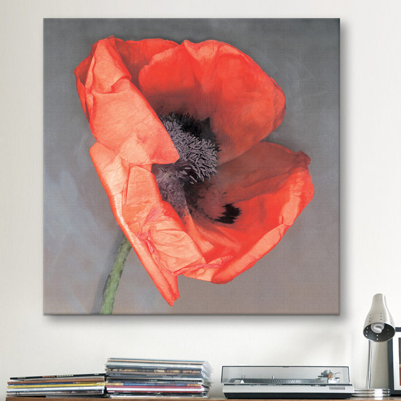 « rossa », impression, Toile, H 37 po x l 37 po x P 1,5 po