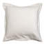 Ascend Euro Pillow Cover