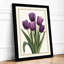 Violet Tulip Study Botanical - Framed Print-373622679-373622677