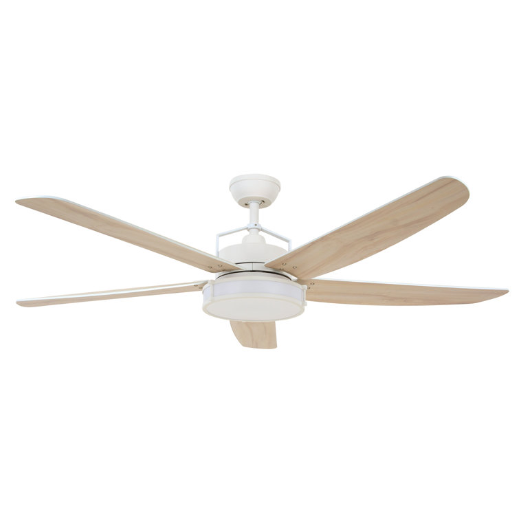 Adelpho 158cm Ceiling Fan with Light Kit