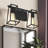 2-Light Open Cage Bath Vanity Fixture