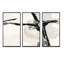 Abstrait neutre II - ensemble d'art moderne sur toile encadré moderne de style Mid-Century 3-682032960-682032967
