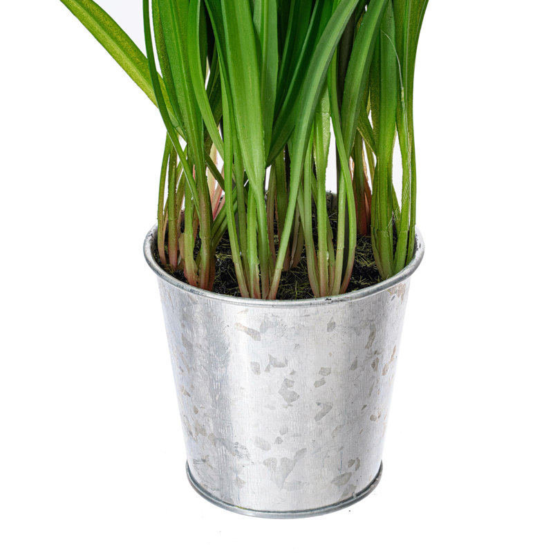Polysilk Tulip Arrangement in Pot