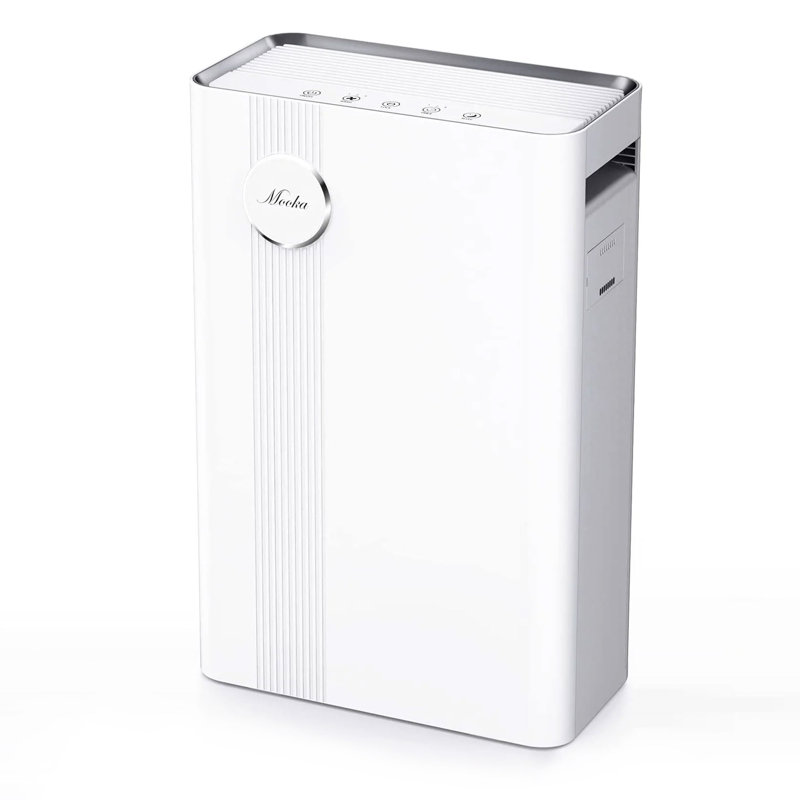 Purificateur d'air pour toute la maison avec filtre HEPA