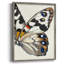 ANIMALS Series CECLII, reproduction encadrée - bois massif-96558939