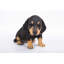 Statue chiot teckel