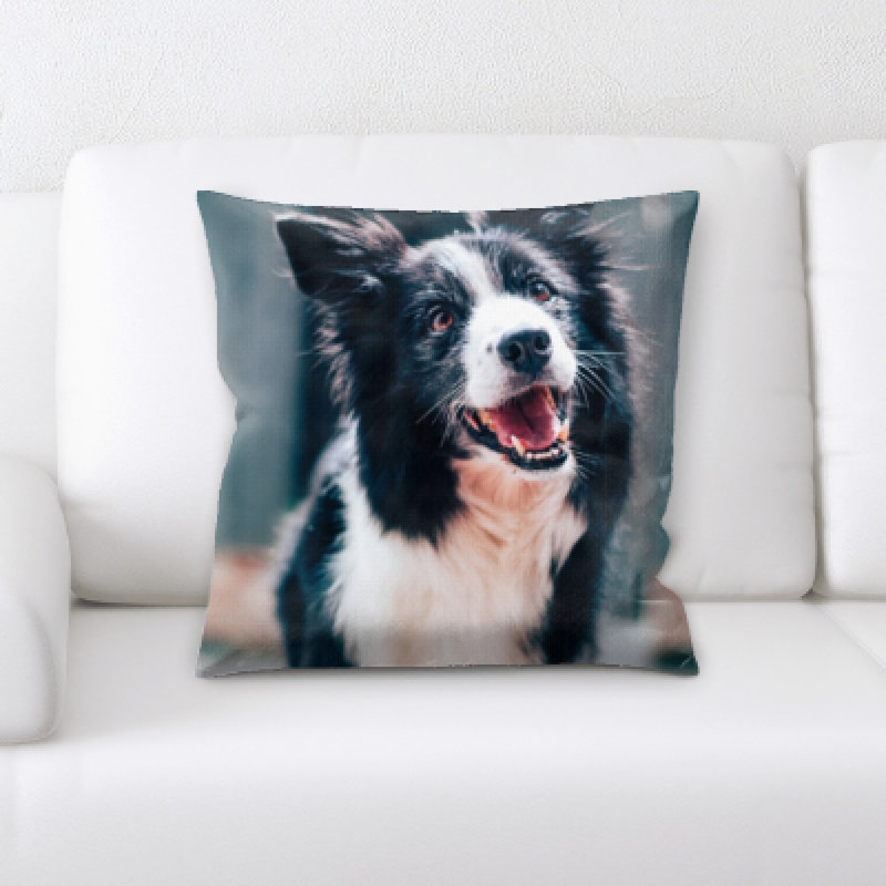 Coussin pour chien