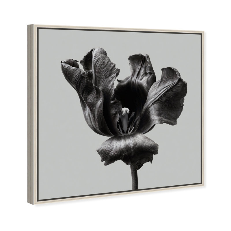 Tidal Wilt II Print by Oliver Gal, 25"H x 25"W, Silver Floater Frame