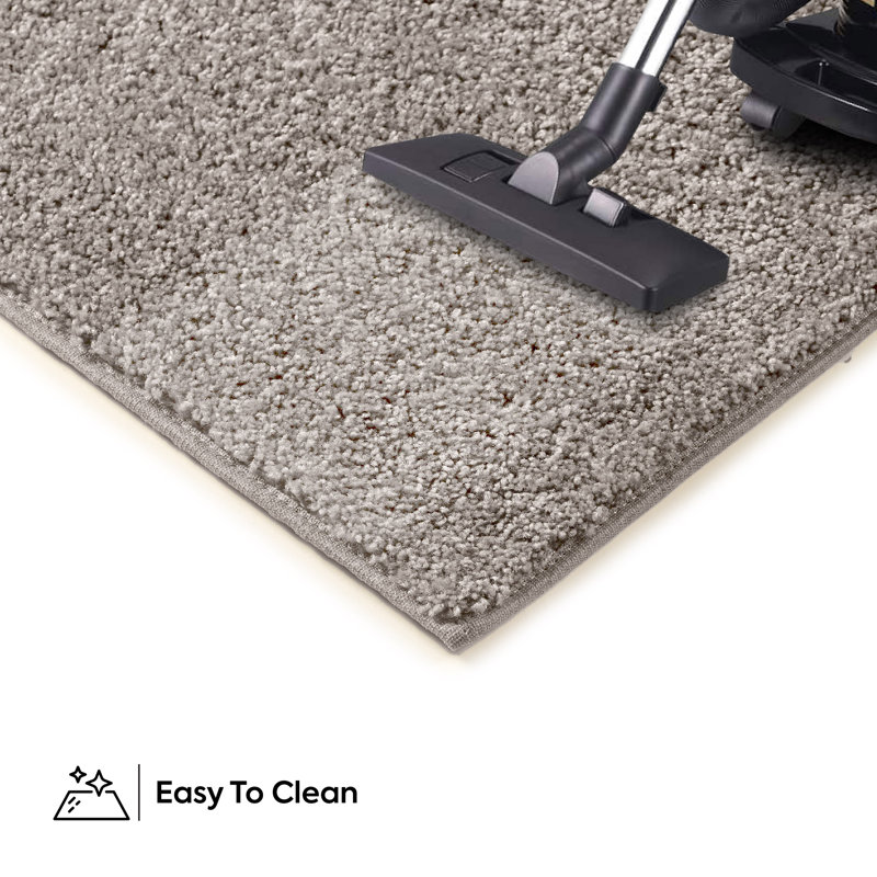 Modern Plush Pet and Kids Friendly Solid Color Area Rugs, Stain & Fade Resistance, Bedroom, Playroom and Kidsroom, Event, Wedding, Perfect for Living Room, Dining Room, Beige Rug