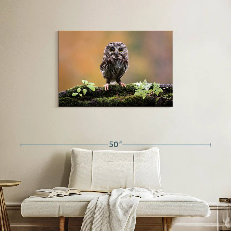 Brampt Charming Little Owl, 24" H x 36" W