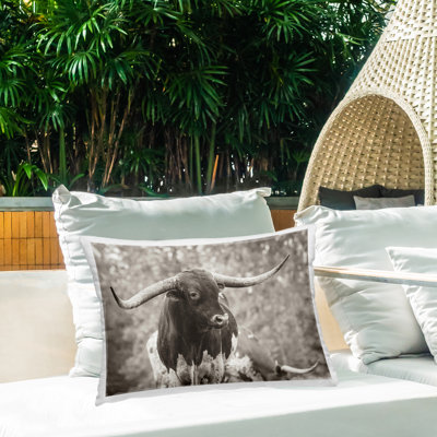 Longhorn's Gaze Photography Outdoor Printed Pillow by Nathan Larson