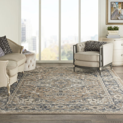 Shaune Oriental Indoor Rug
