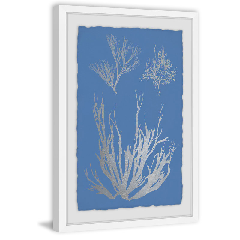 Seaweed Cyanotype V 1 Piece Single Picture Frame Painting, 30 cm H x 20 cm W x 4 cm D
