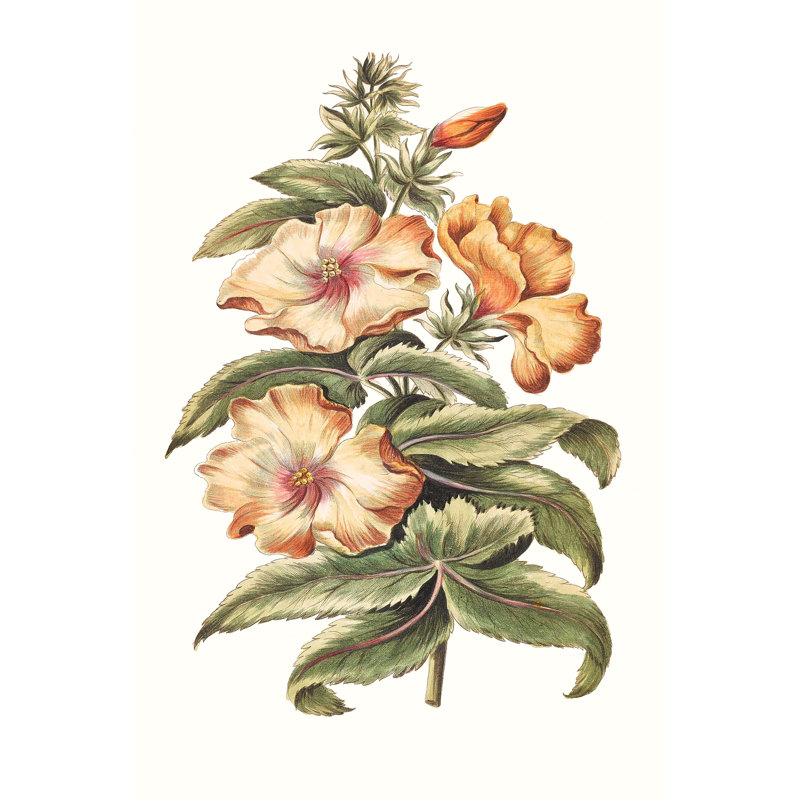Flowering Hibiscus I - Painting, 76cm H x 51cm W, Wrapped Canvas