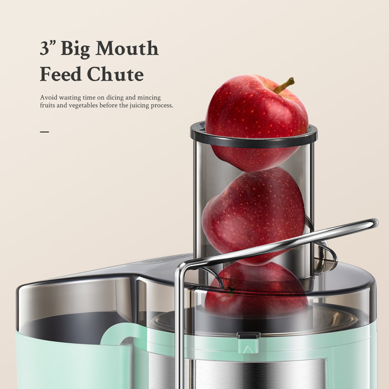J-XIN Trading Co., Limited 800 W Safety Lock 2 Speed Electric Centrifugal Juicer Accessory, Green