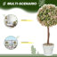 60 cm H Faux Plant in Cement Freestanding  Planter